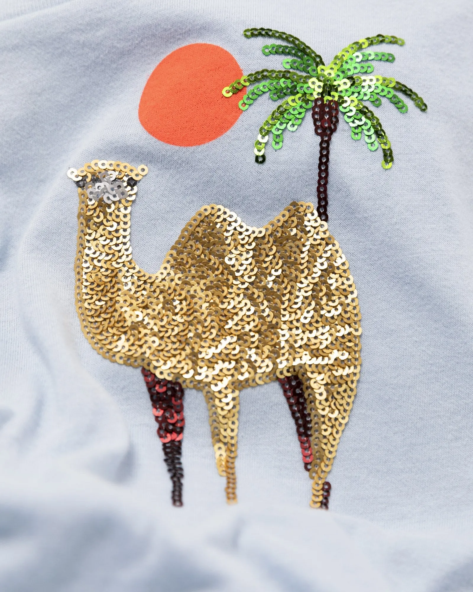amy t-shirt desert