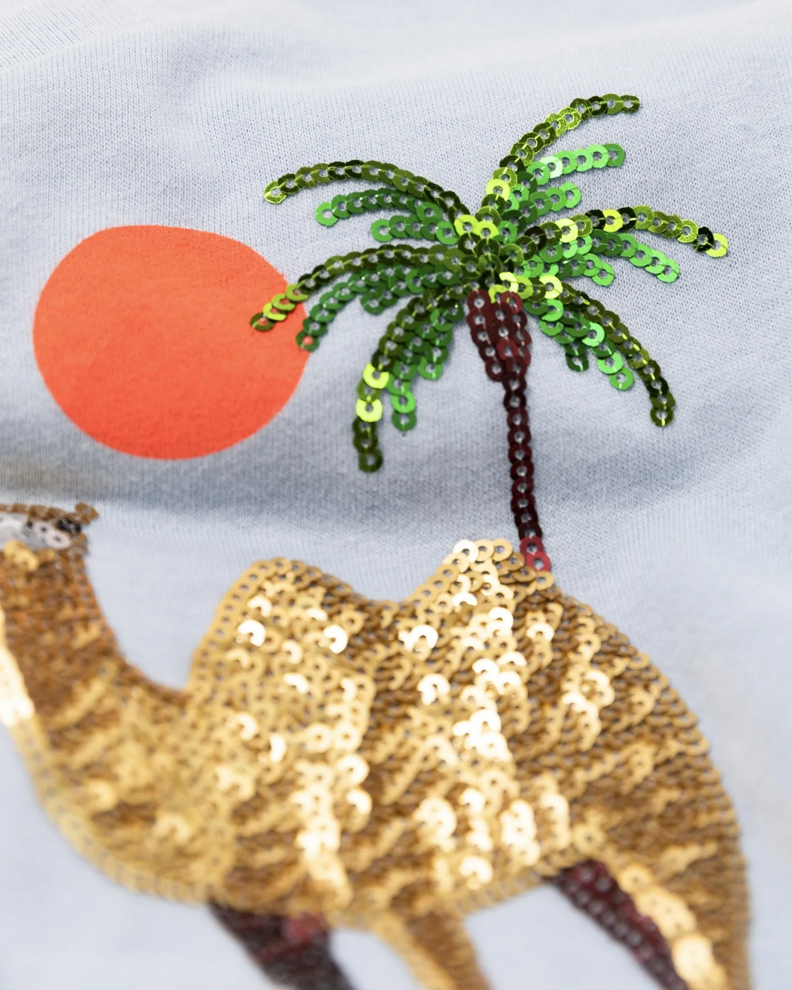 amy t-shirt desert