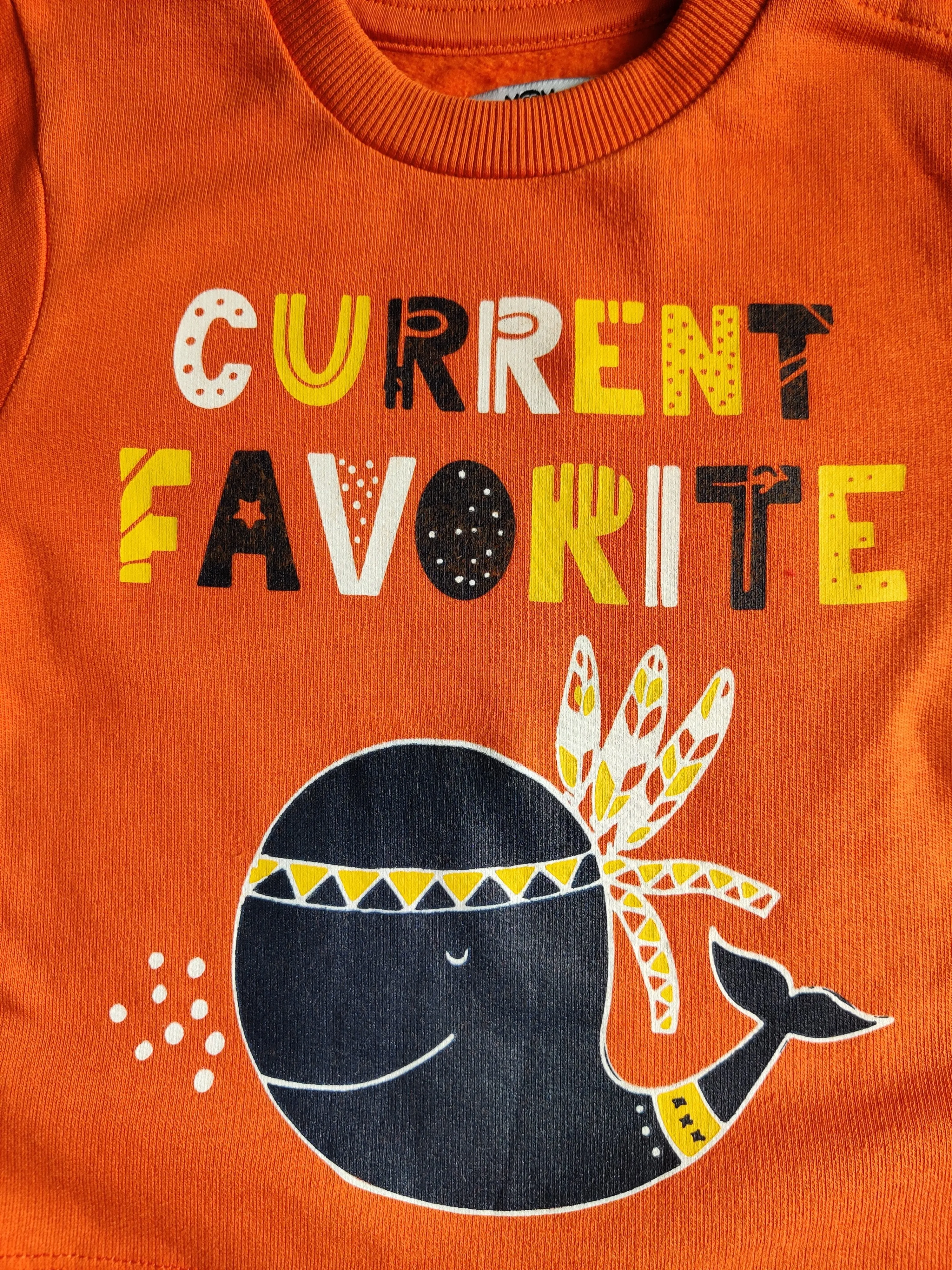 Winter Sweatshirt Combo - Star, Whale and Bear